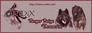 Oridix Banner