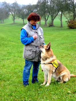 Asterix Hundeschule