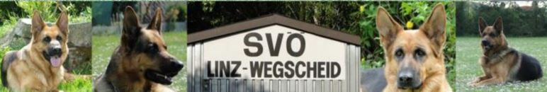 svoe linz wegscheid